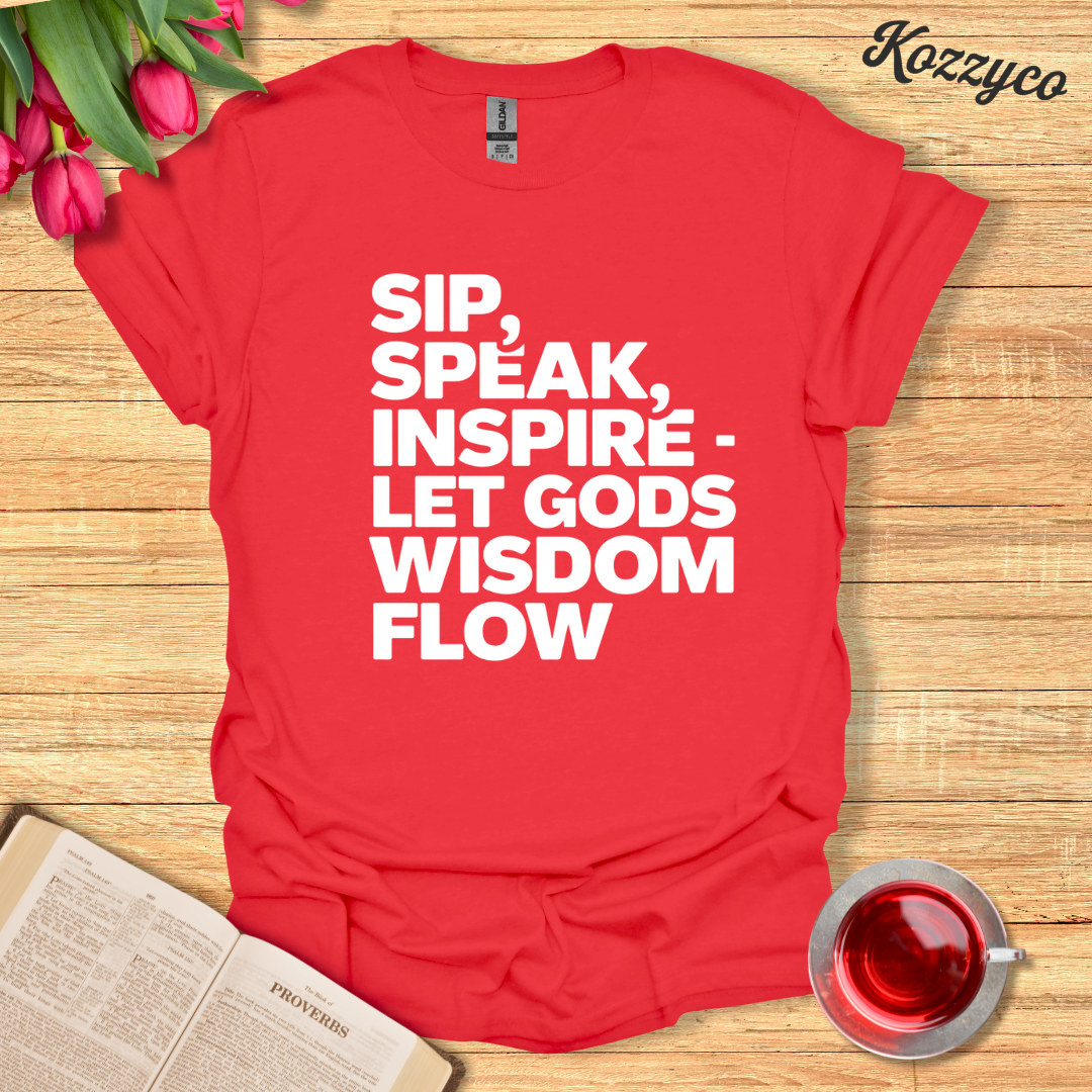 God’s Wisdom Faith-Based T-Shirt  Kozzyco